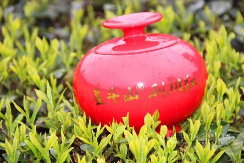 富硒茶创业机会（富硒茶宣传语）-硒宝网