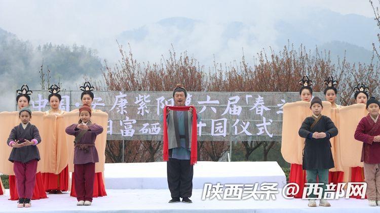 紫阳富硒茶赞助（紫阳富硒茶厂）-硒宝网