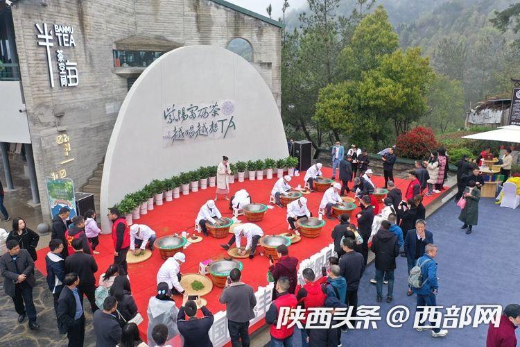 紫阳富硒茶赞助（紫阳富硒茶厂）-硒宝网