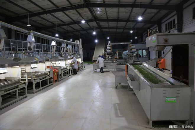 恩施绿茶富硒茶(湖北恩施富硒绿茶功效)-硒宝网