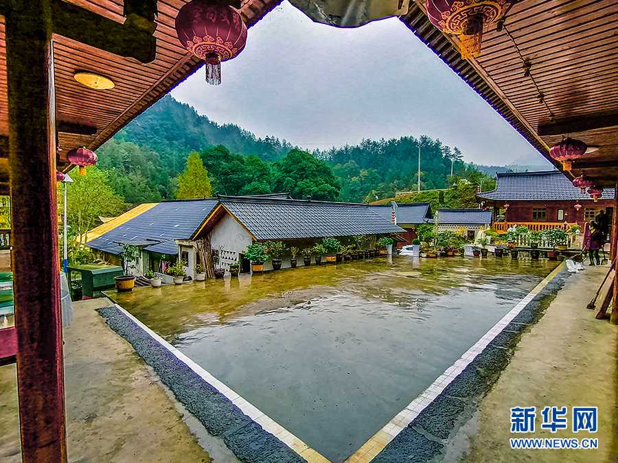 紫阳和平富硒茶(紫阳县和平茶厂的绿茶怎么样)-硒宝网