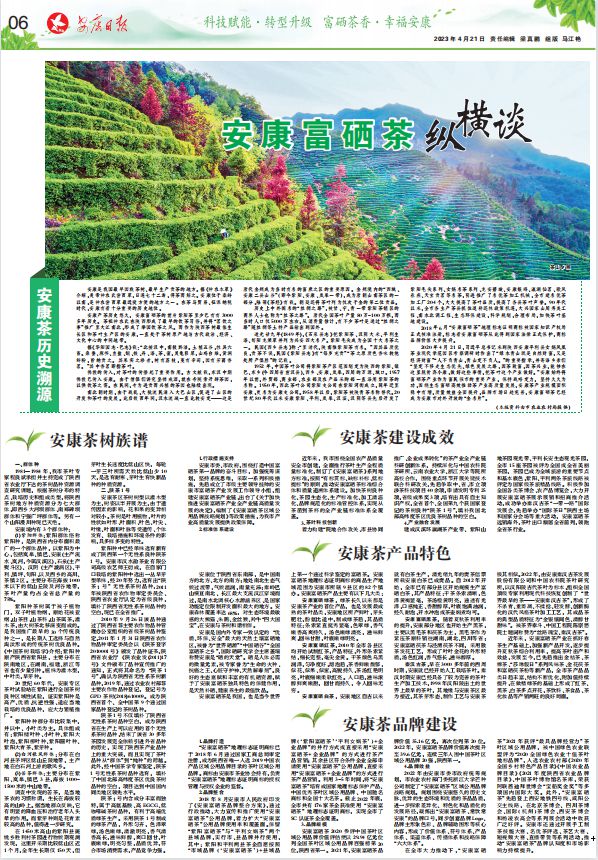 陕西富硒桑叶茶（陕西富硒茶有哪几款）-硒宝网