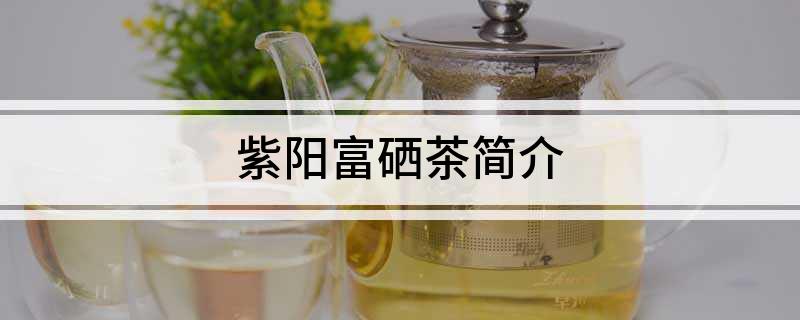 高平毛尖富硒茶(富硒毛尖功效与作用)-硒宝网
