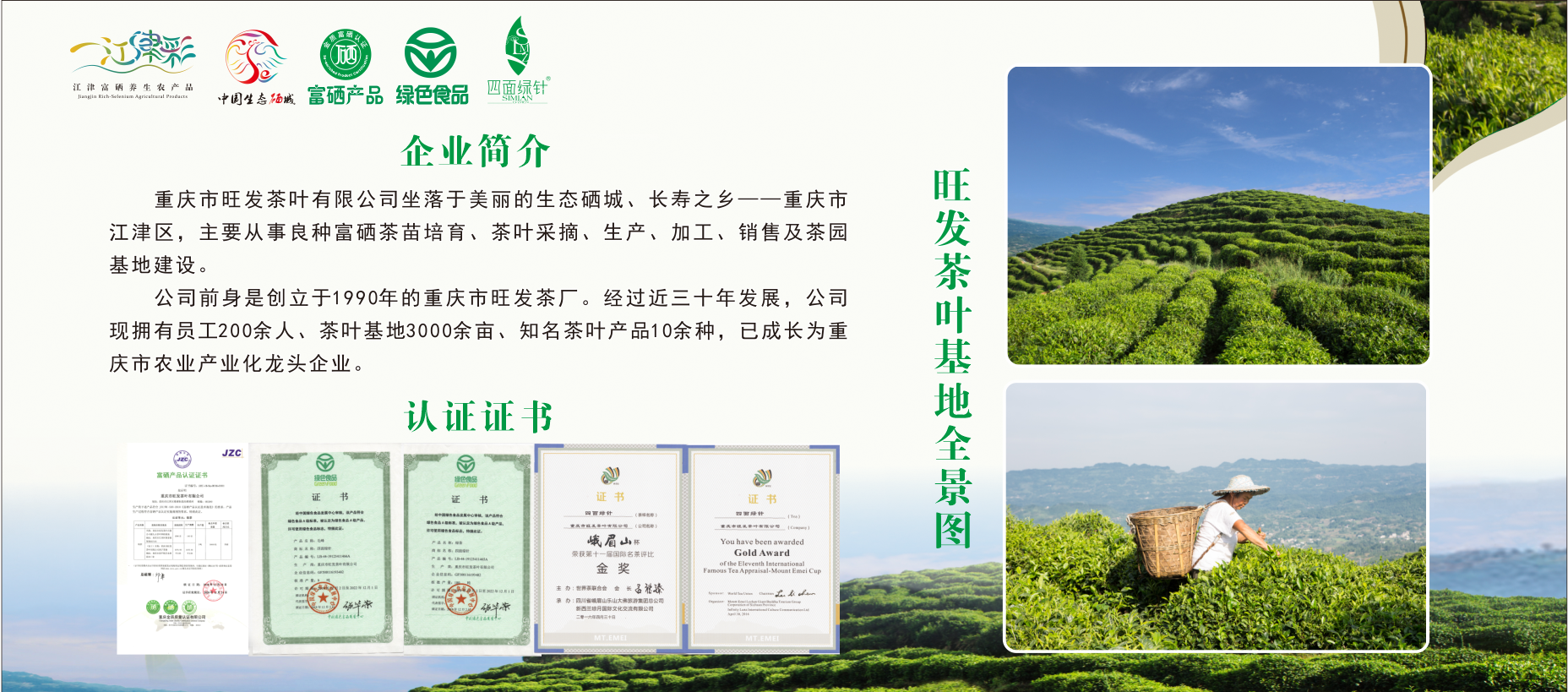 黄山富硒茶价格（黄山名茶价格）-硒宝网