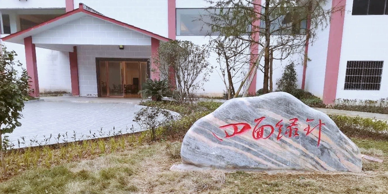 黄山富硒茶价格（黄山名茶价格）-硒宝网