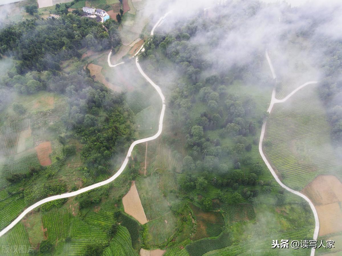 凤冈富硒茶炒青(凤冈县富硒茶)-硒宝网