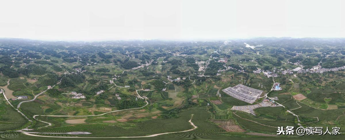 凤冈富硒茶炒青(凤冈县富硒茶)-硒宝网