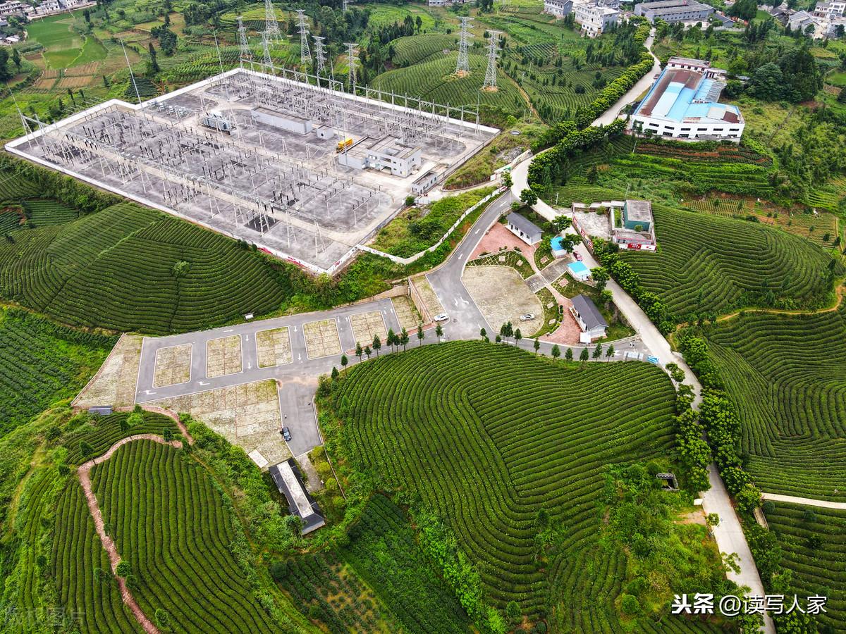 凤冈富硒茶炒青(凤冈县富硒茶)-硒宝网