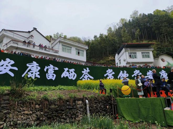 永州富硒有机茶(有机富硒茶叶)-硒宝网