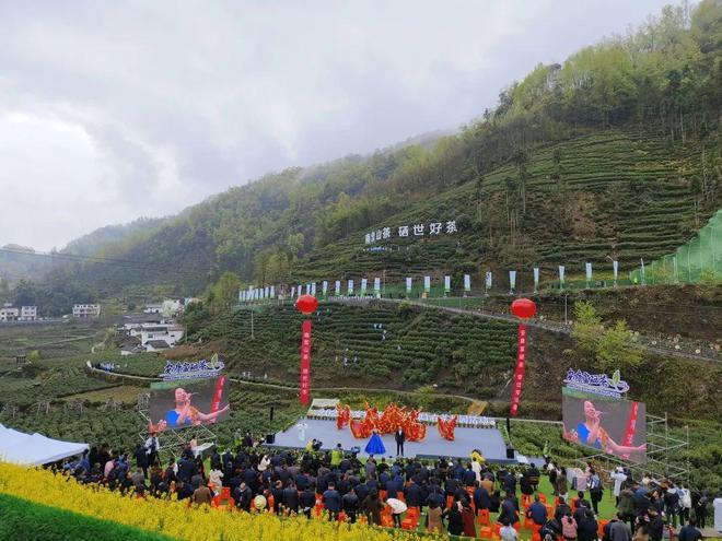 永州富硒有机茶(有机富硒茶叶)-硒宝网