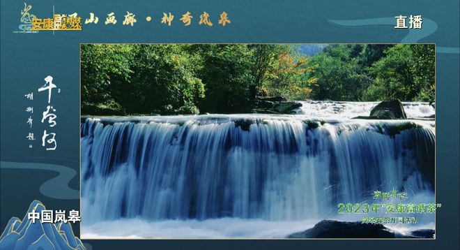 永州富硒有机茶(有机富硒茶叶)-硒宝网