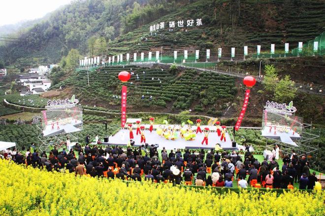 永州富硒有机茶(有机富硒茶叶)-硒宝网