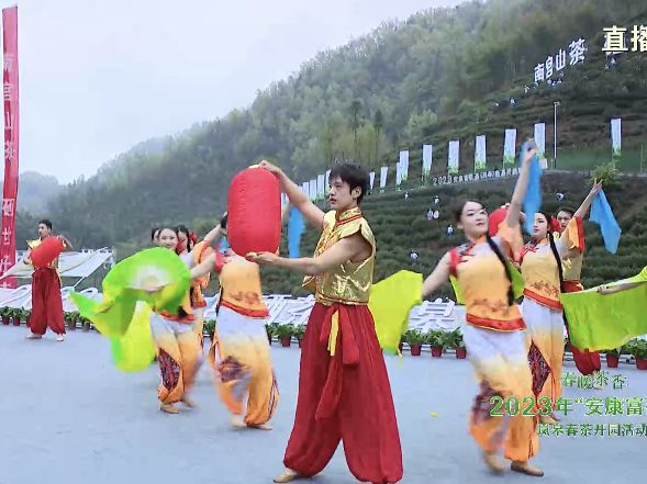 永州富硒有机茶(有机富硒茶叶)-硒宝网