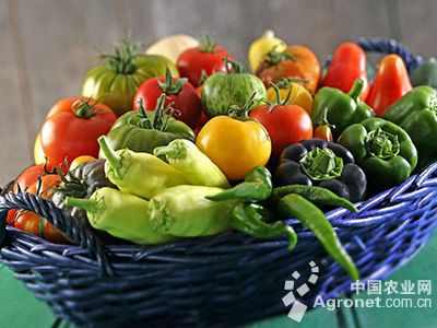 安徽石门富硒茶(安徽石台富硒茶)-硒宝网