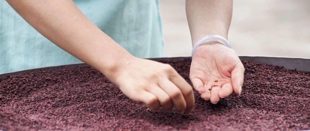 富硒茶啤酒法人（富硒茶啤酒多少钱一箱）-硒宝网