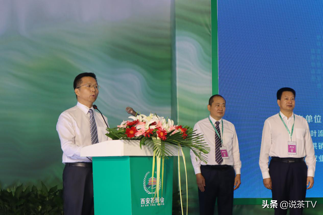 台湾富硒茶批发(批发茶台湾富硒多少钱)-硒宝网