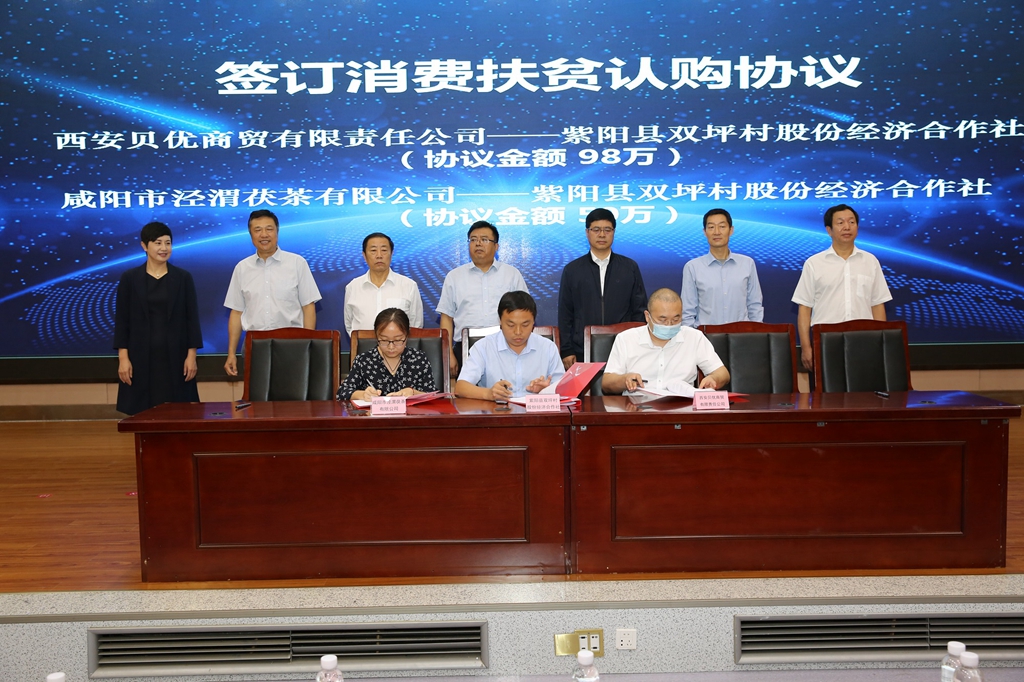 陕西富硒茶代理（陕南富硒茶叶）-硒宝网