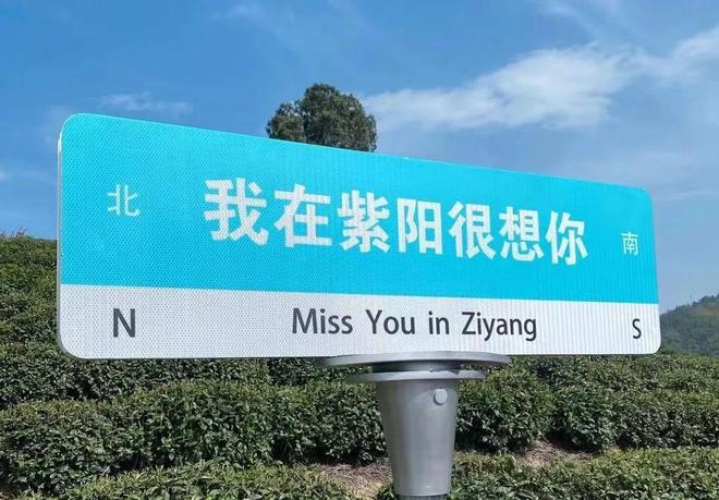 紫阳富硒茶旅游(紫阳富硒茶山)-硒宝网