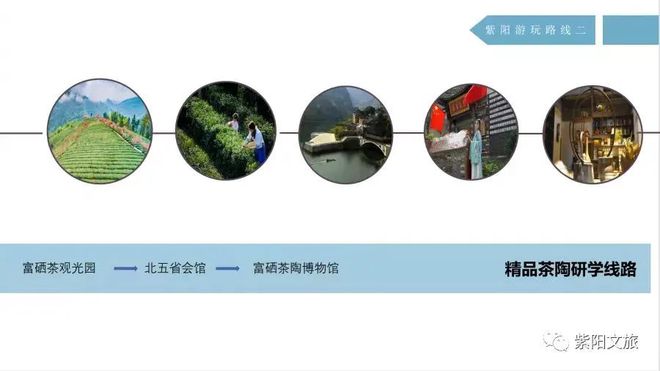 紫阳富硒茶旅游(紫阳富硒茶山)-硒宝网