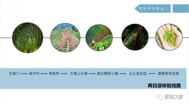 紫阳富硒茶旅游(紫阳富硒茶山)-硒宝网