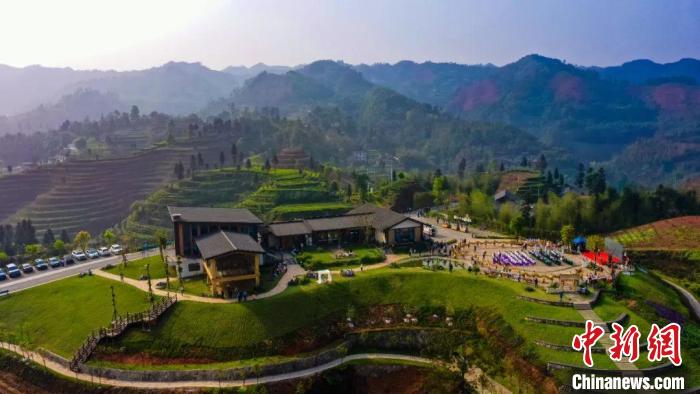 旬阳富硒茶基地(富硒茶之乡)-硒宝网