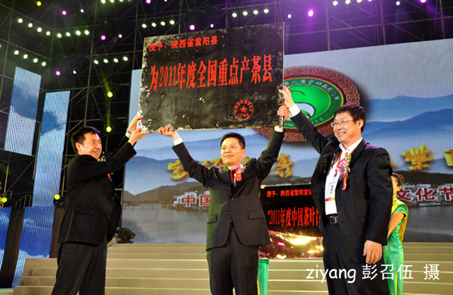 宣传紫阳富硒茶（紫阳富硒茶的广告词）-硒宝网