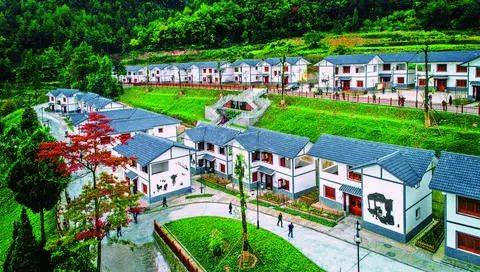 富硒茶乡村振兴（立足茶产业乡村振兴）-硒宝网