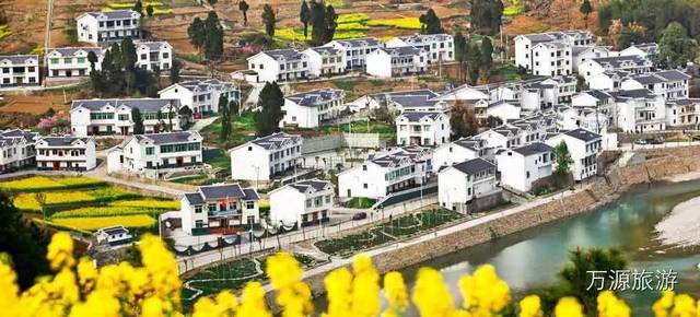 富硒茶乡村振兴（立足茶产业乡村振兴）-硒宝网