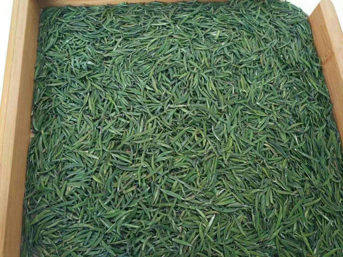 遵义特产富硒茶（遵义茶业）-硒宝网