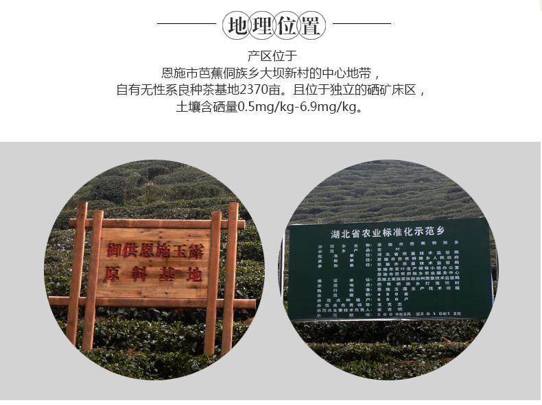 恩施富硒茶宣传（恩施富硒茶市场定位分析）-硒宝网