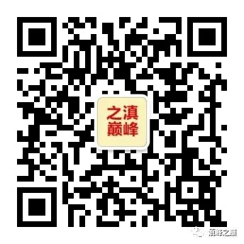 陕西富硒银针茶（陕西富硒茶多少钱一斤）-硒宝网