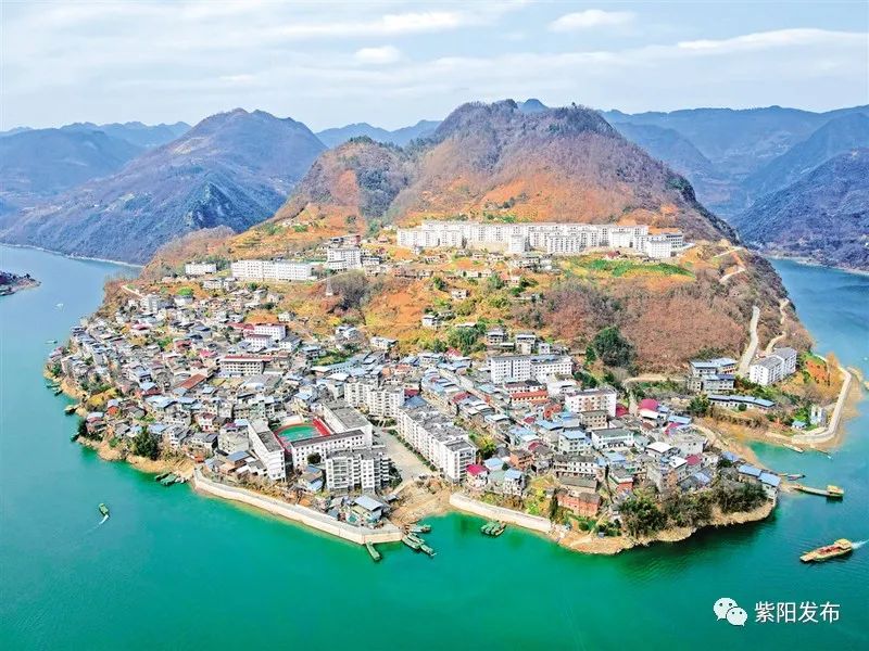 宣传紫阳富硒茶（紫阳富硒茶宣传语）-硒宝网