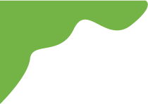 紫阳富硒茶分类(紫阳富硒茶品牌价值)-硒宝网