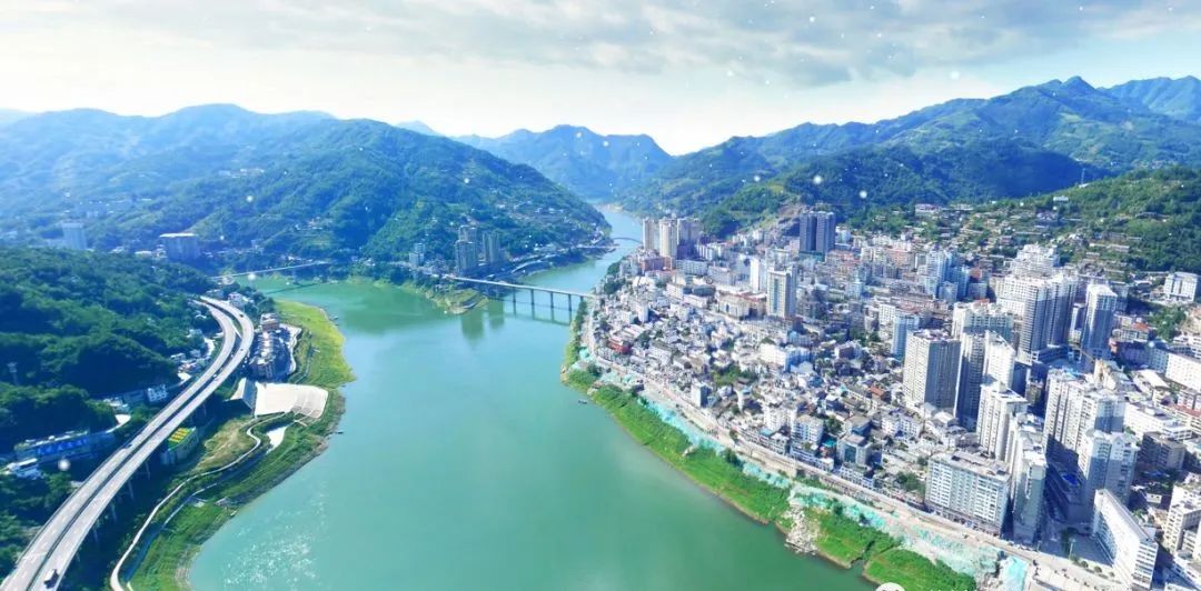 紫阳富硒茶分类(紫阳富硒茶品牌价值)-硒宝网