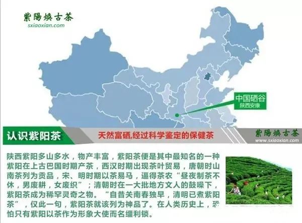 紫阳富硒茶分类(紫阳富硒茶品牌价值)-硒宝网