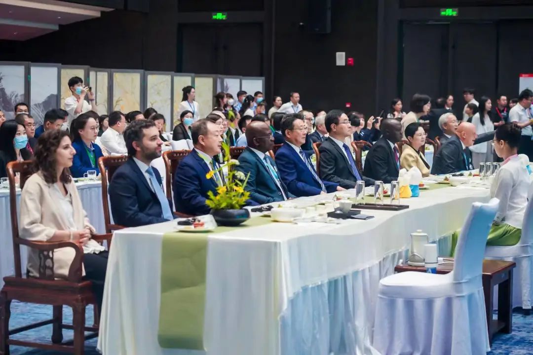 陕西富硒银针茶（陕西茶银针富硒产地）-硒宝网