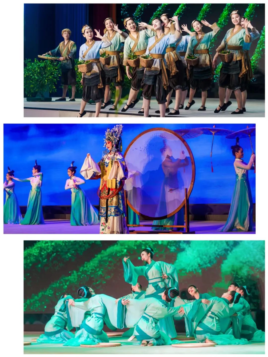 陕西富硒银针茶（陕西茶银针富硒产地）-硒宝网