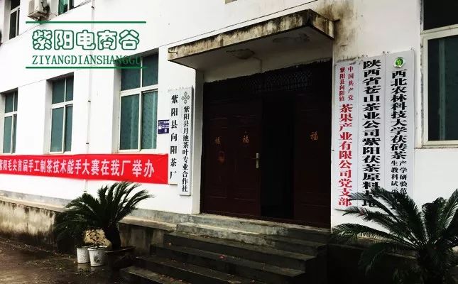 紫阳富硒茶深圳(紫阳富硒茶文化)-硒宝网