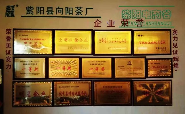 紫阳富硒茶深圳(紫阳富硒茶文化)-硒宝网