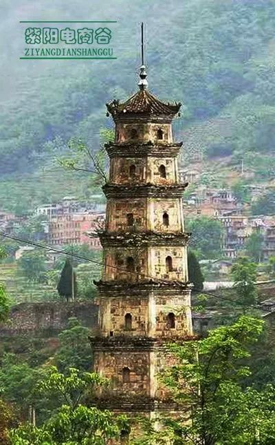 紫阳富硒茶深圳(紫阳富硒茶文化)-硒宝网