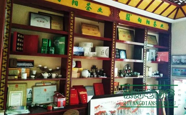 紫阳富硒茶深圳(紫阳富硒茶文化)-硒宝网