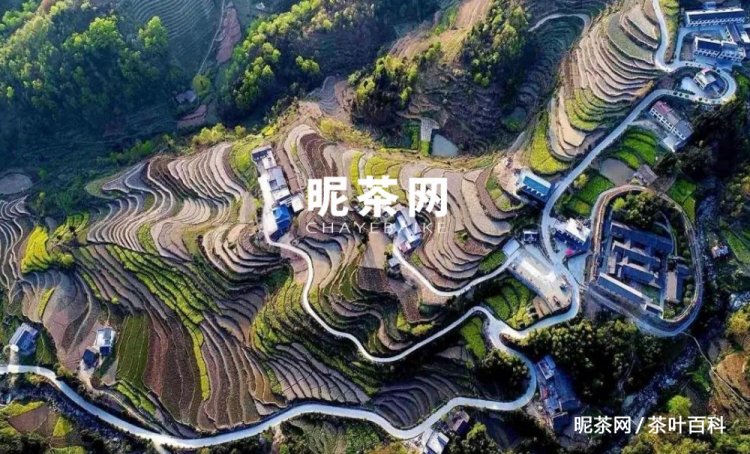 优质安康富硒茶（安康富硒茶怎么样）-硒宝网