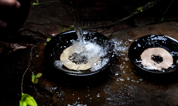 遵义特产富硒茶（遵义产茶区域）-硒宝网