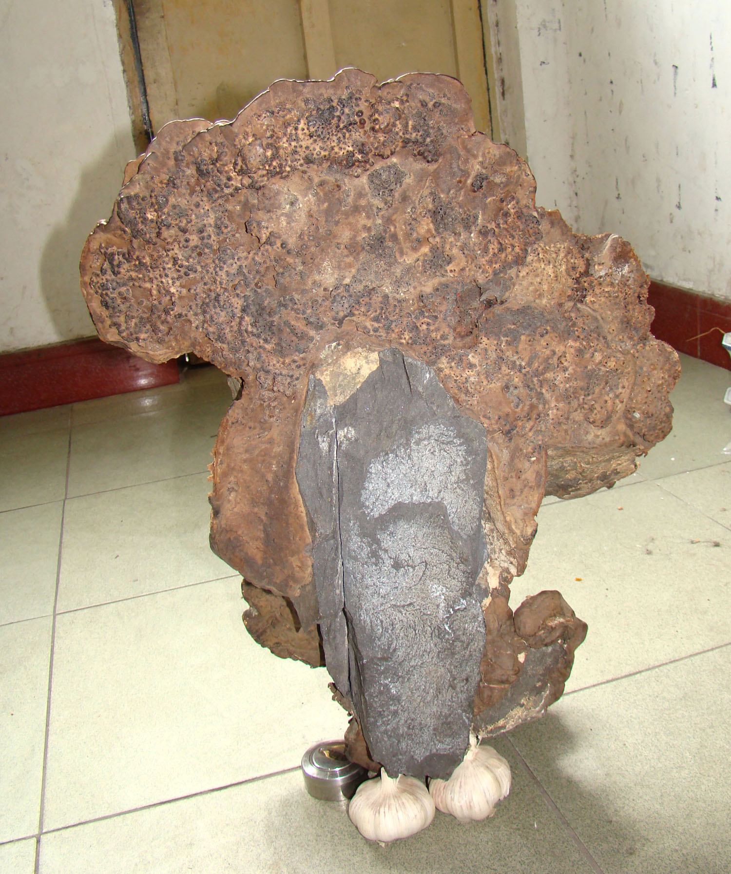 吉林富硒茶供应(吉林供应茶富硒的地方)-硒宝网