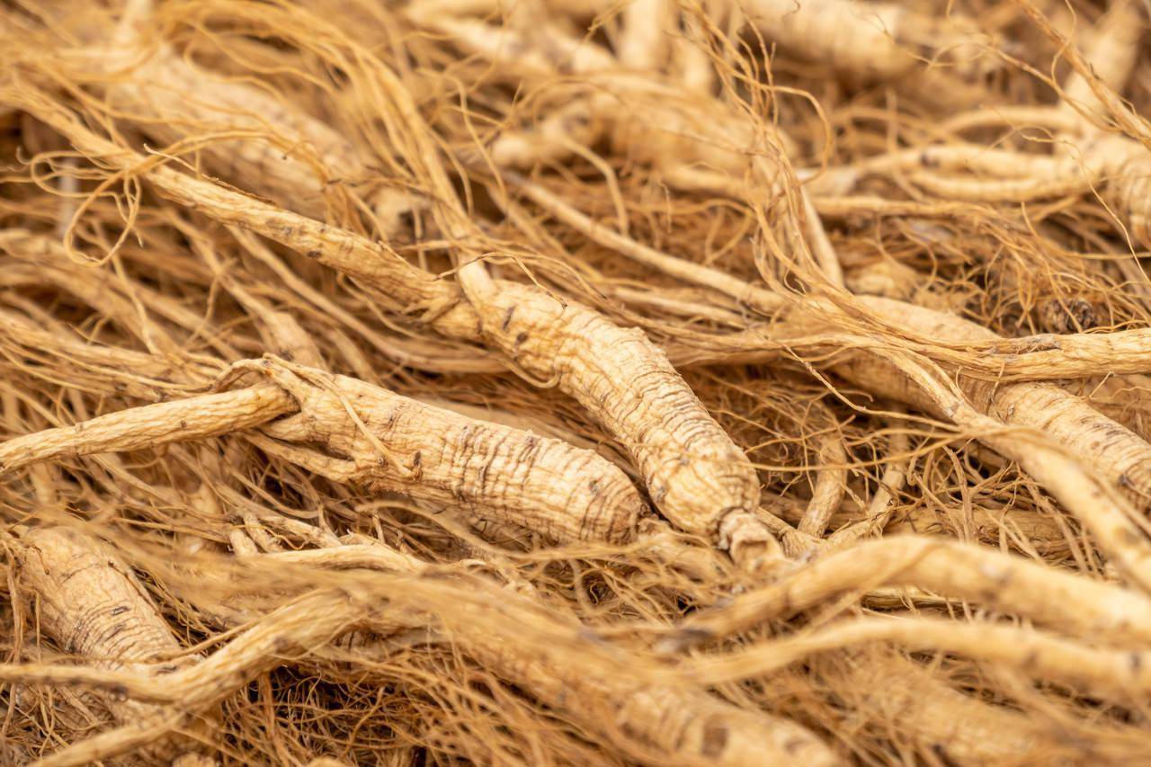 吉林富硒茶供应(吉林供应茶富硒的地方)-硒宝网