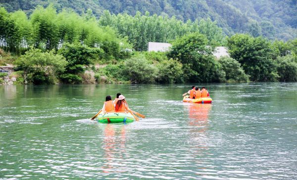 紫阳富硒茶蓝色(富硒紫阳茶多少钱一斤)-硒宝网