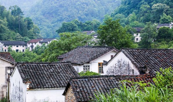 紫阳富硒茶蓝色(富硒紫阳茶多少钱一斤)-硒宝网
