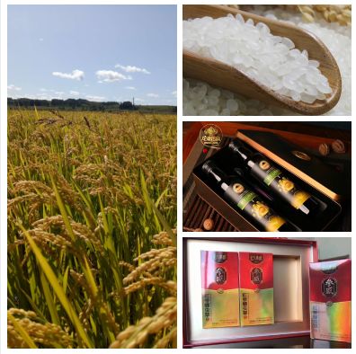 富硒茶啤酒河南(富硒茶啤酒在全国行业排第几)-硒宝网