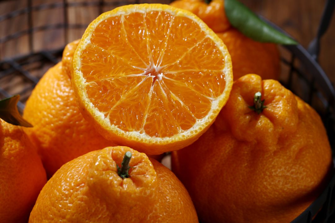 富硒茶啤酒河南(富硒茶啤酒在全国行业排第几)-硒宝网