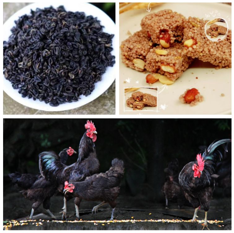 富硒茶啤酒河南(富硒茶啤酒在全国行业排第几)-硒宝网